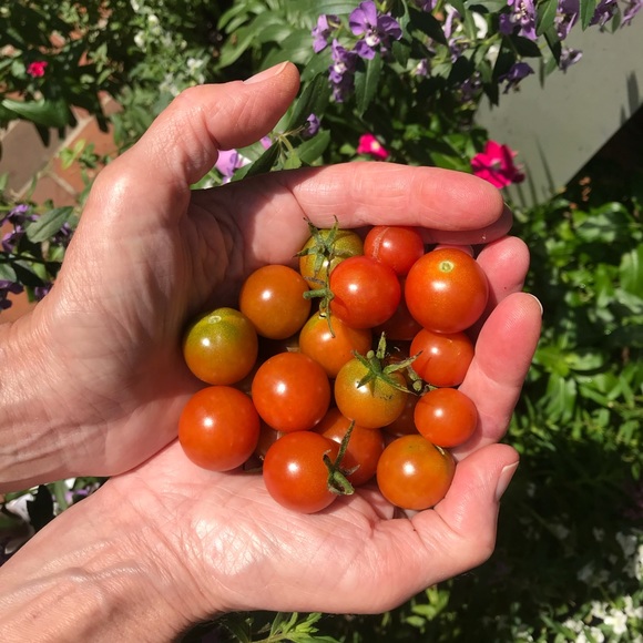 Meet your Posher, Stephanie - Picture 7 of 10